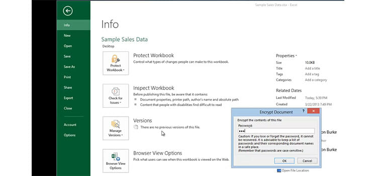 How to Encrypt Excel File | With and Without Password - Techdim