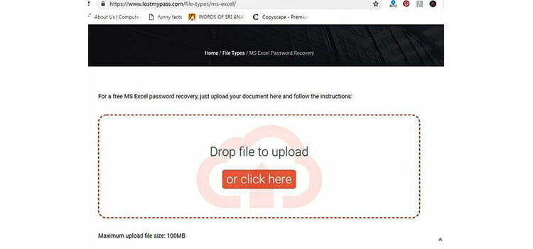 How to Open a Password Protected Online Word File