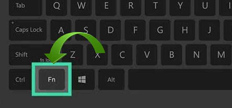 How to Disable fn key