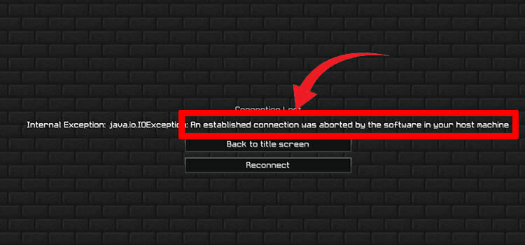 [Fixed] An Established Connection Was Aborted by the Software in Your Host Machine Minecraft Error