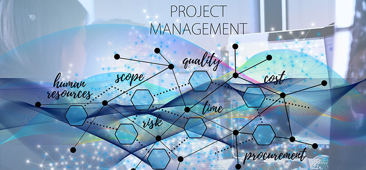 Project Management Strategies