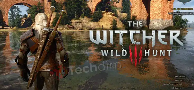 How to Add Mods to Witcher 3 (2 Methods)