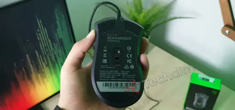 [10 Fixes] Razer Synapse Not Detecting Deathadder Chroma